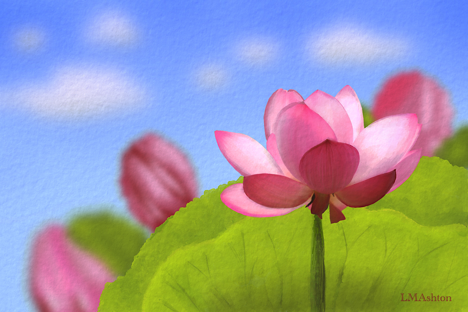 A pink lotus in the foreground, green leaves below, lotus bulbs behind the leaves, with a blue sky in the background. 