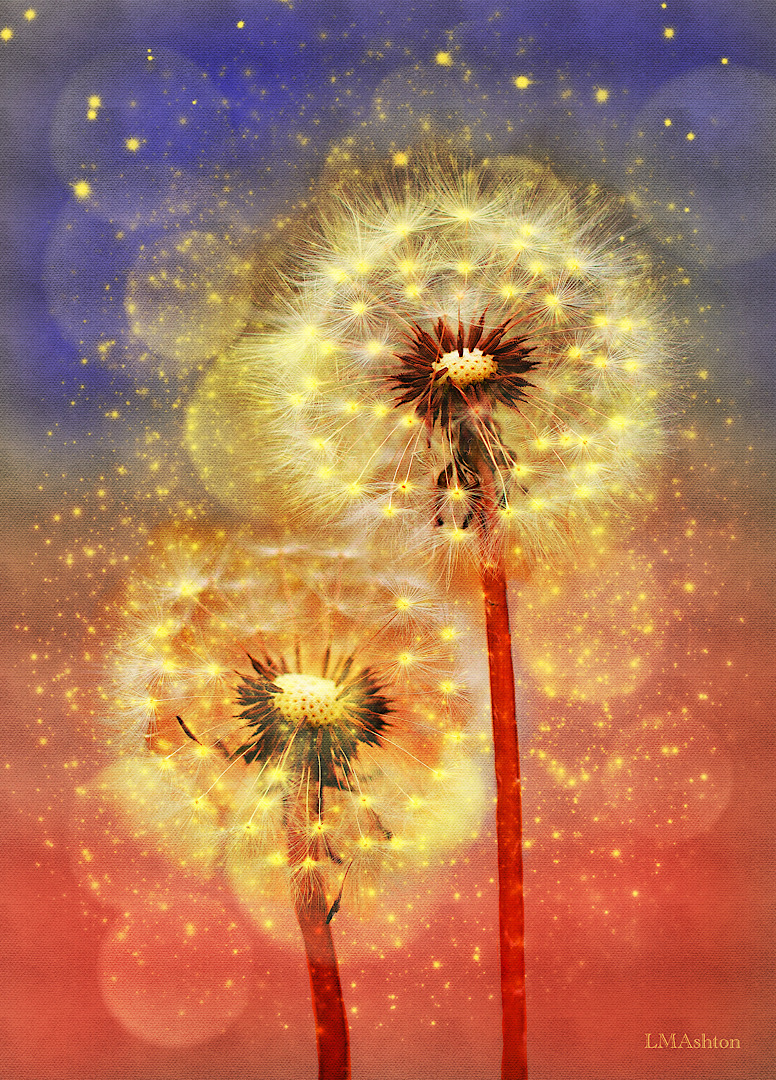 Image of a glowing dandelion with glowing lights surrounding it.